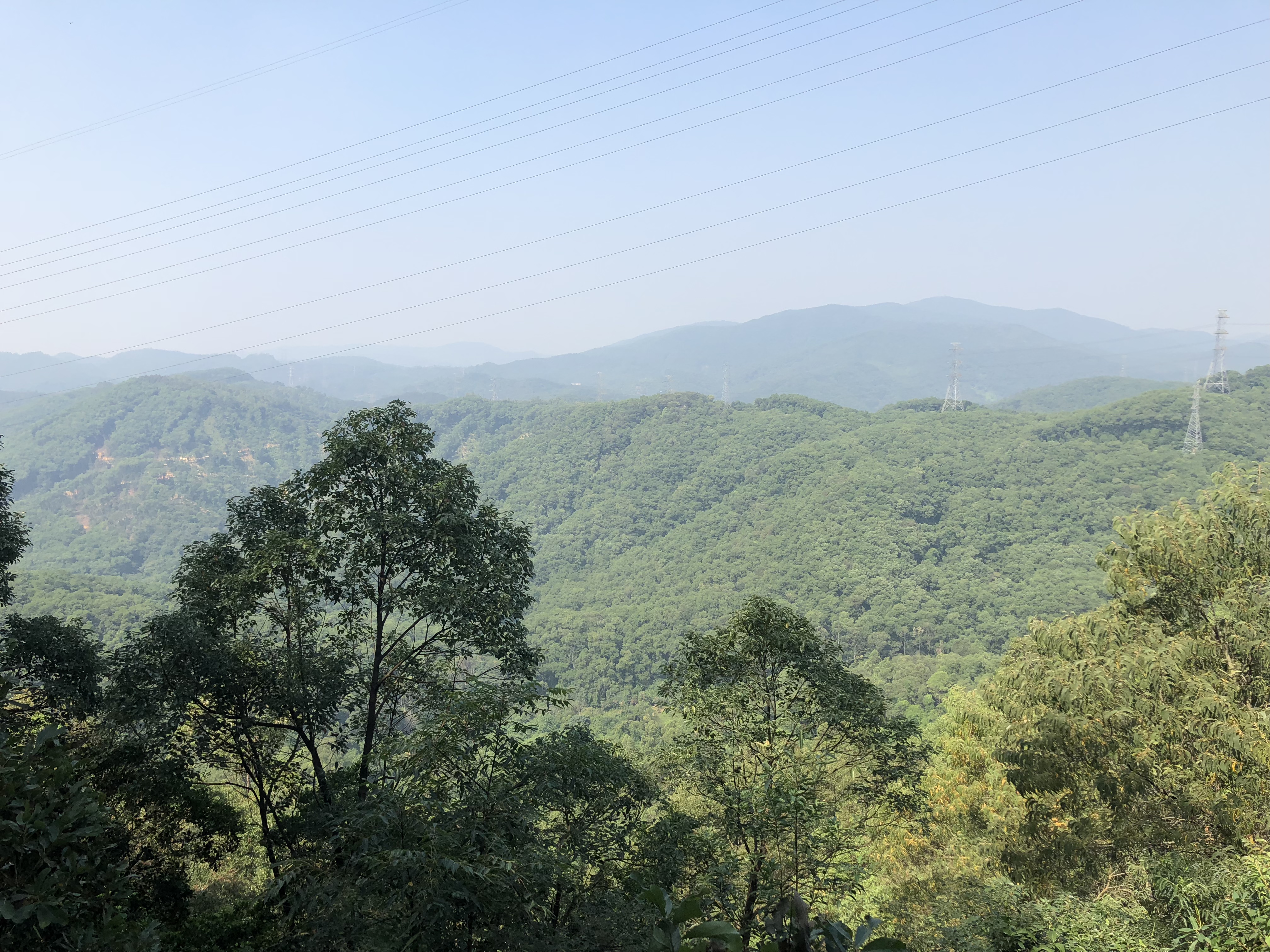 深圳金峰盛公司，長安郊野公園